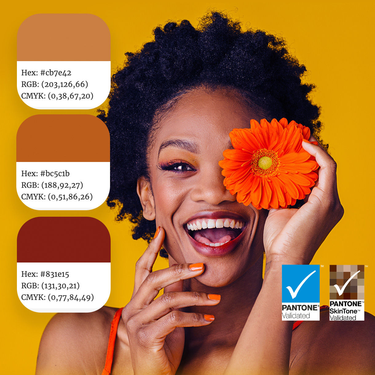 BenQ PD2706UA also features Pantone and Pantone SkinTone validation, appealing to professionals who need a display that achieves utmost authenticity when showing real-world colors.