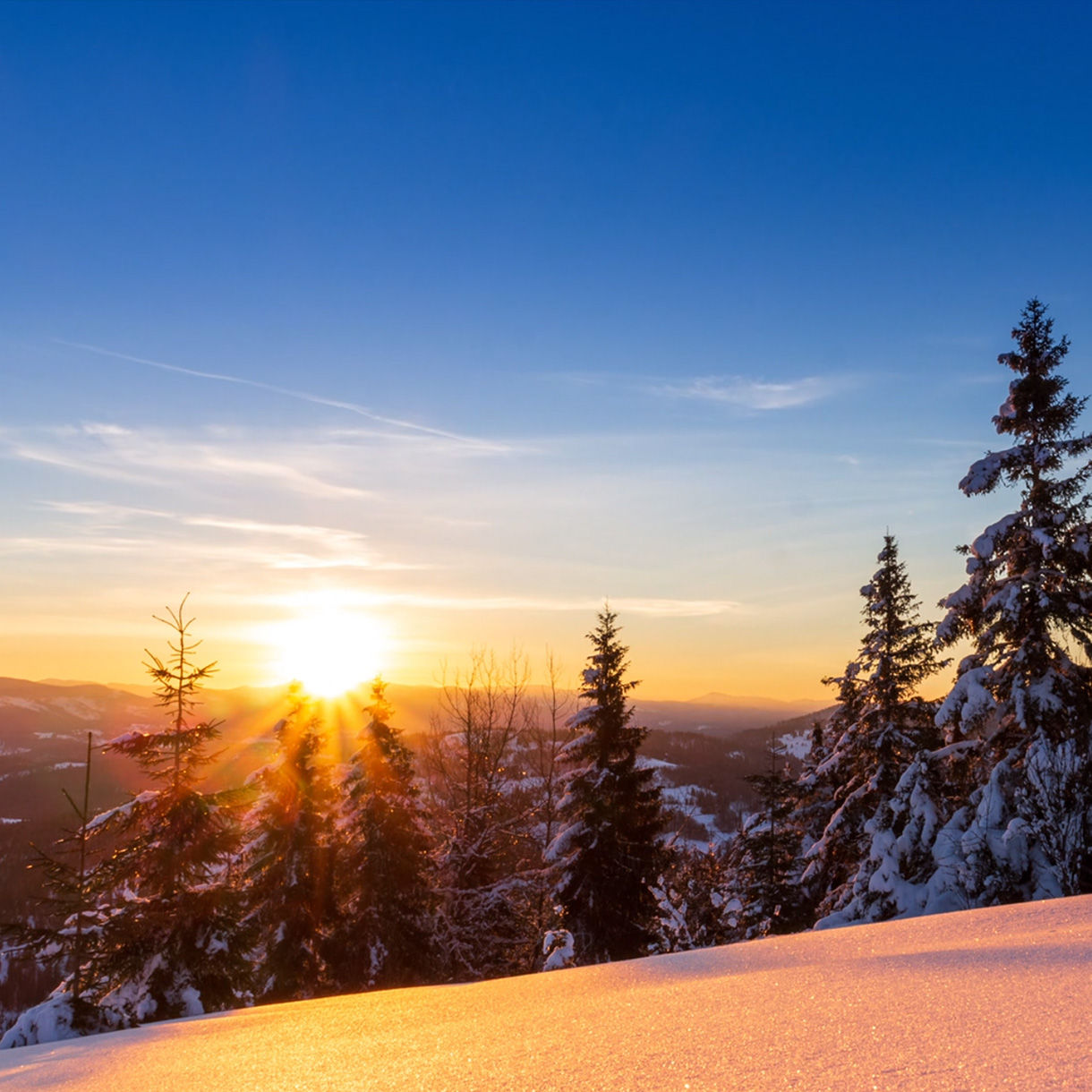 BenQ SW272Q supports 4:4:4, 4:2:2, and 4:2:0 sampling in determining monitor fidelity.