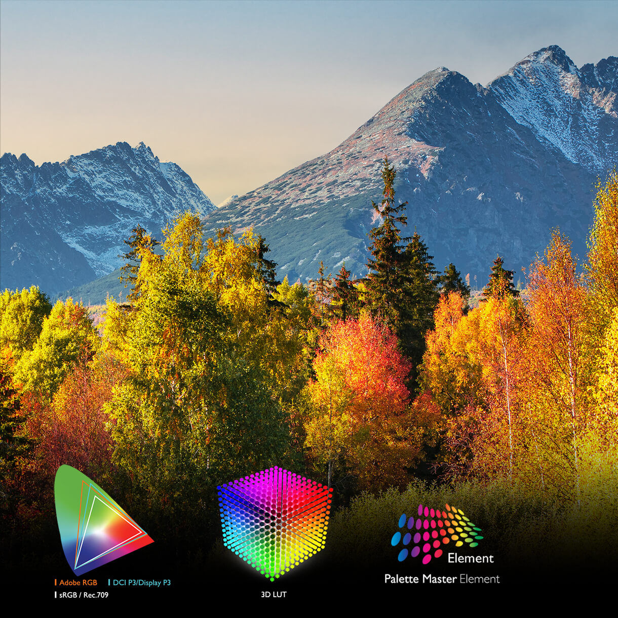 業界標準色彩精準度