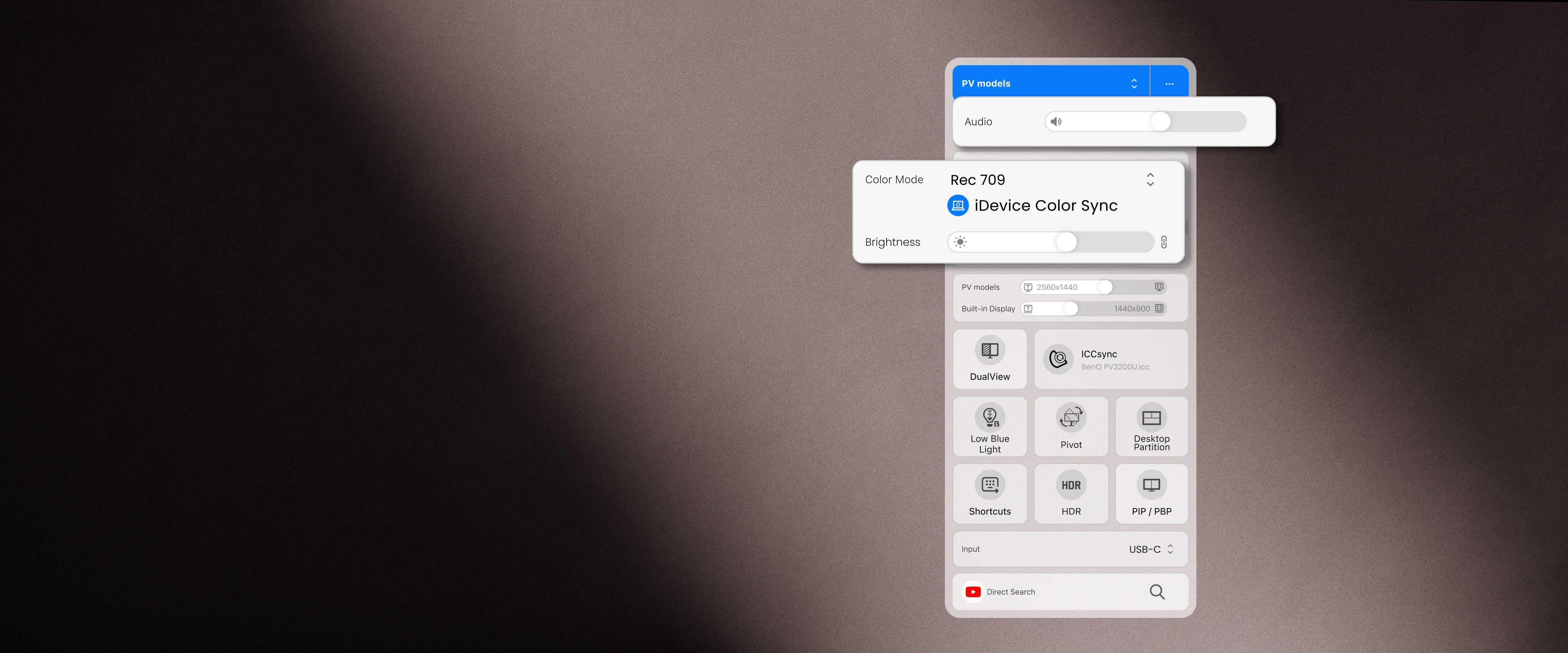Display Pilot 2  features for PV models