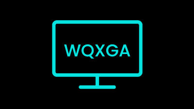 BenQ RD240Q's resolution is WQXGA (2560 x1600)