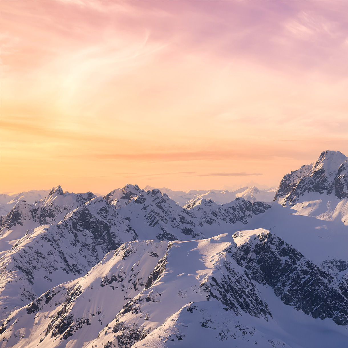 BenQ 一致性的技術